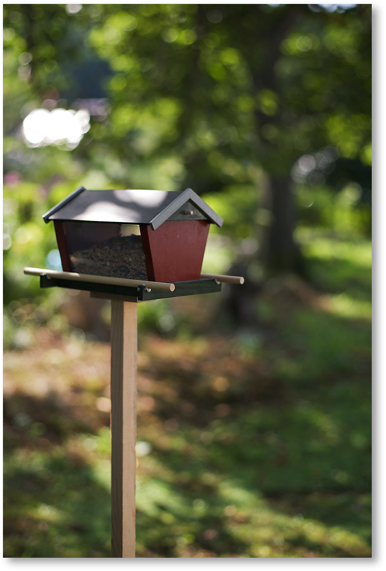 鳥の餌台 家具マイスターのブログ Ikuru Suto 木もれ日輝く那須の森