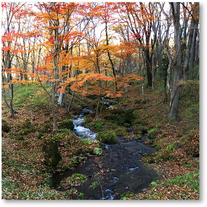 “紅葉が綺麗な那須の清流”