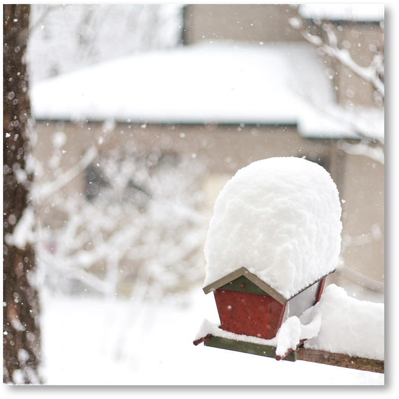 “雪が積もった鳥の餌台“