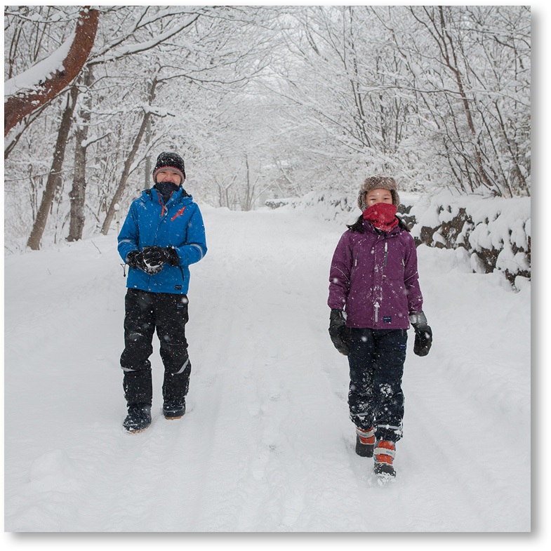 “雪で覆われた道を散歩”