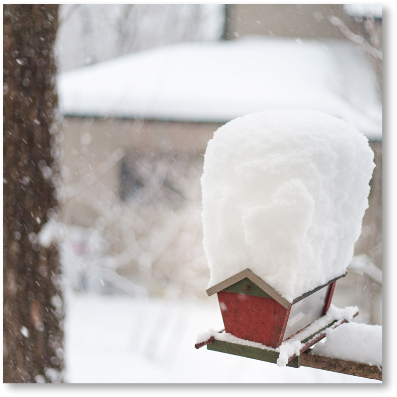 “屋根の上に積もった雪”