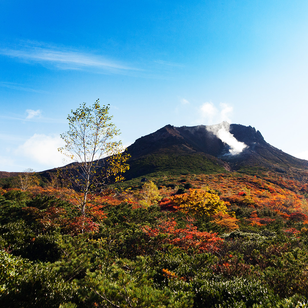 紅葉の茶臼岳を望む