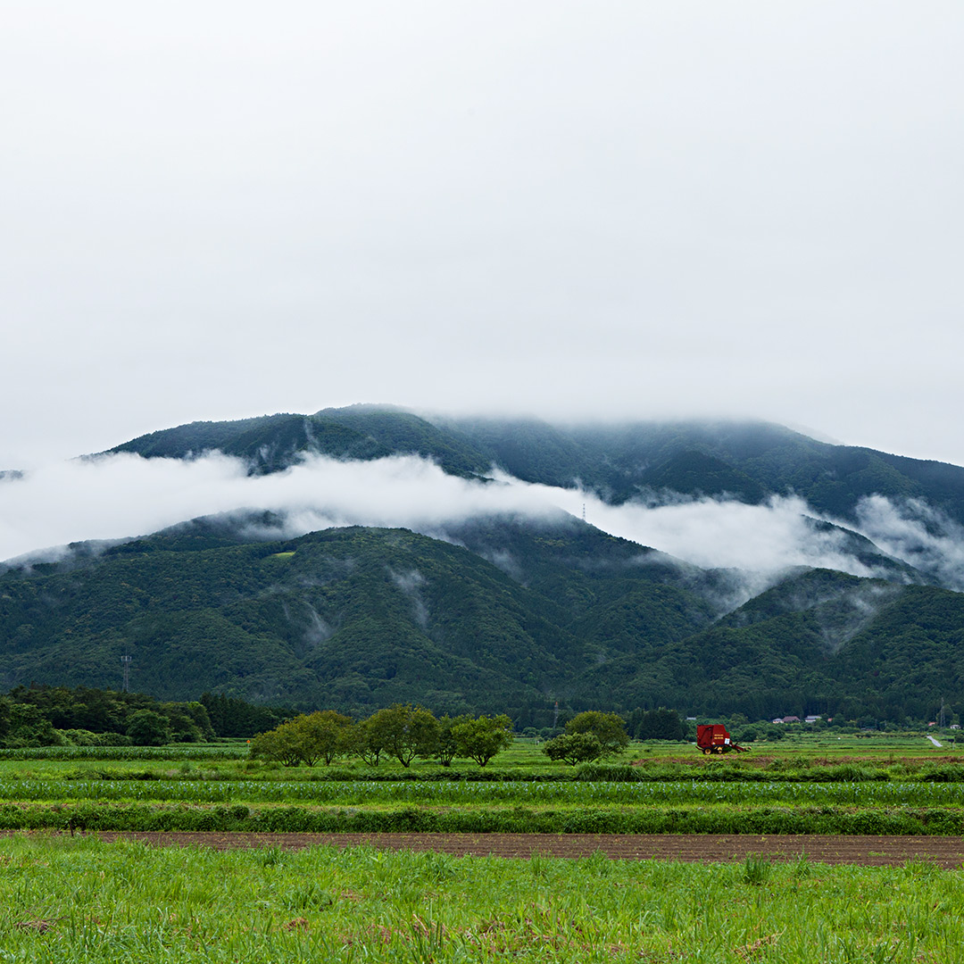 雨上がりの山