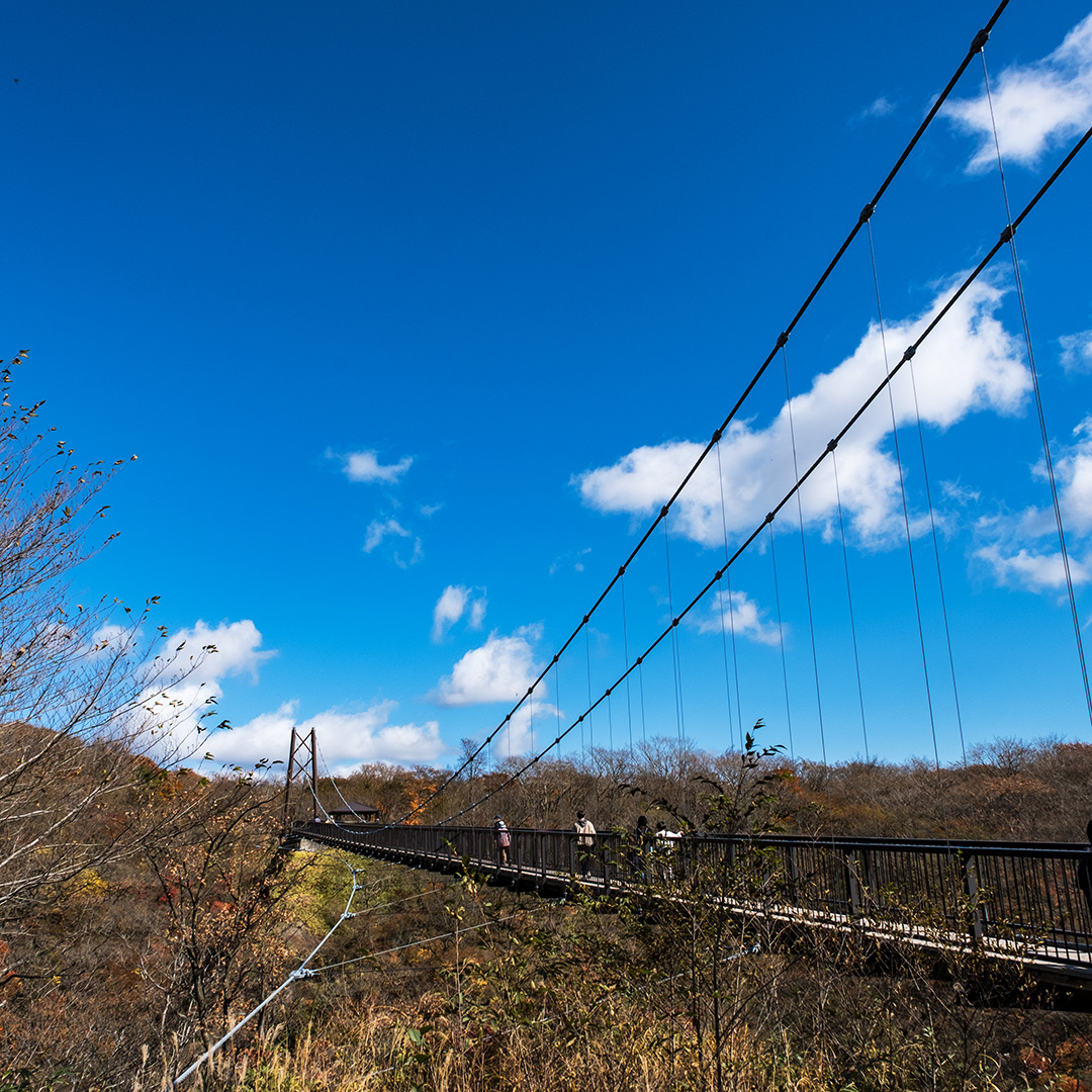 那須 つつじ吊り橋