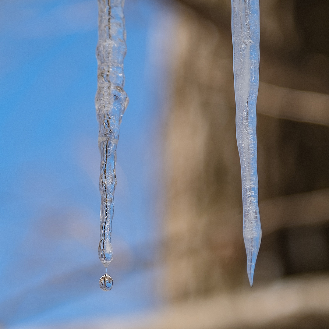 氷柱から水が滴る瞬間