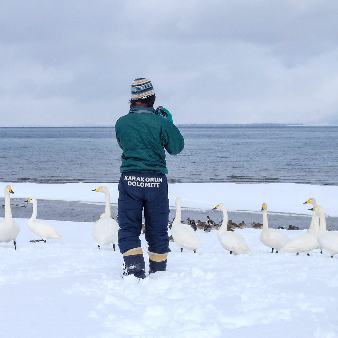 水鳥たちの楽園