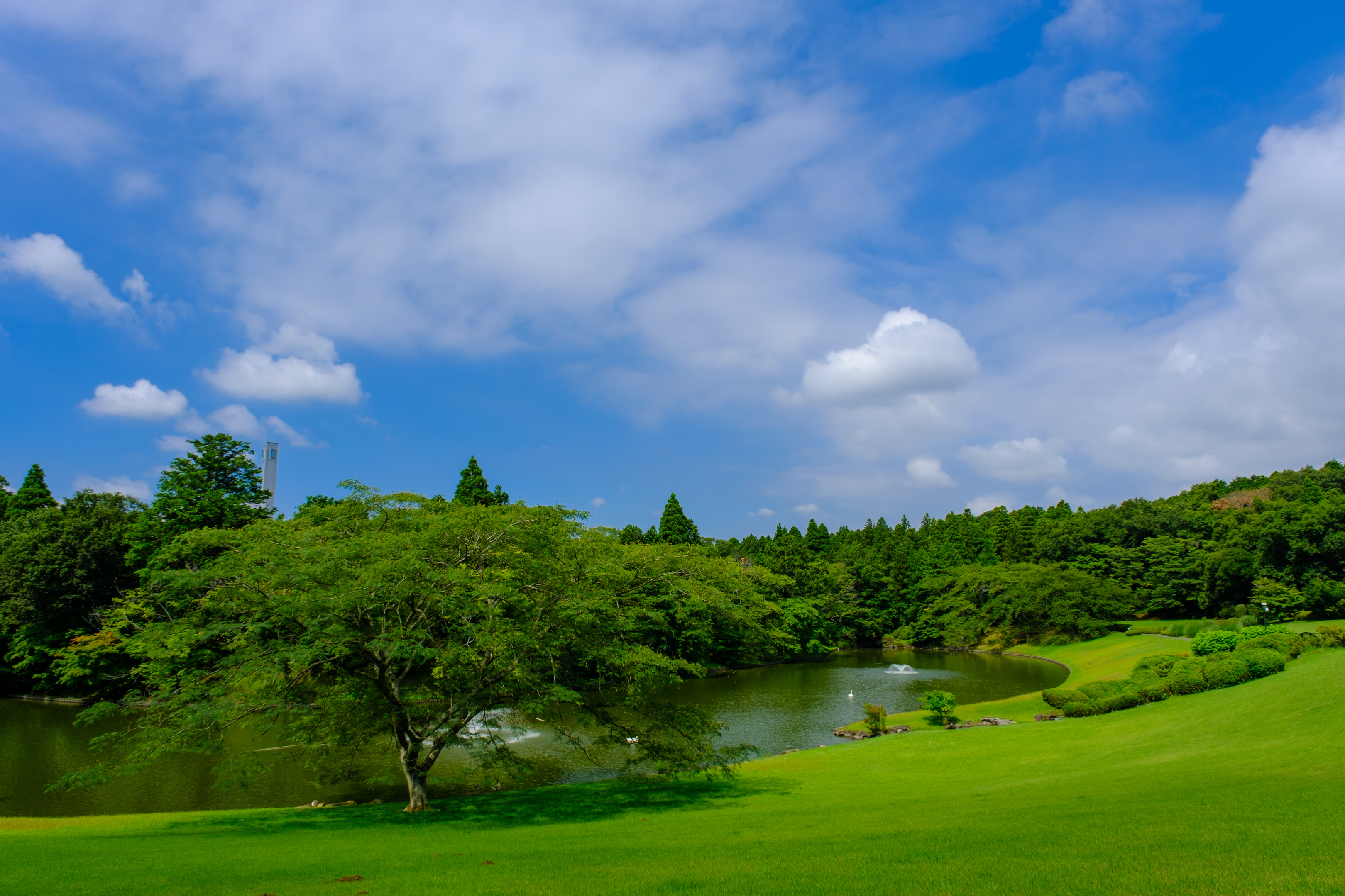 DIC川村記念美術館の庭