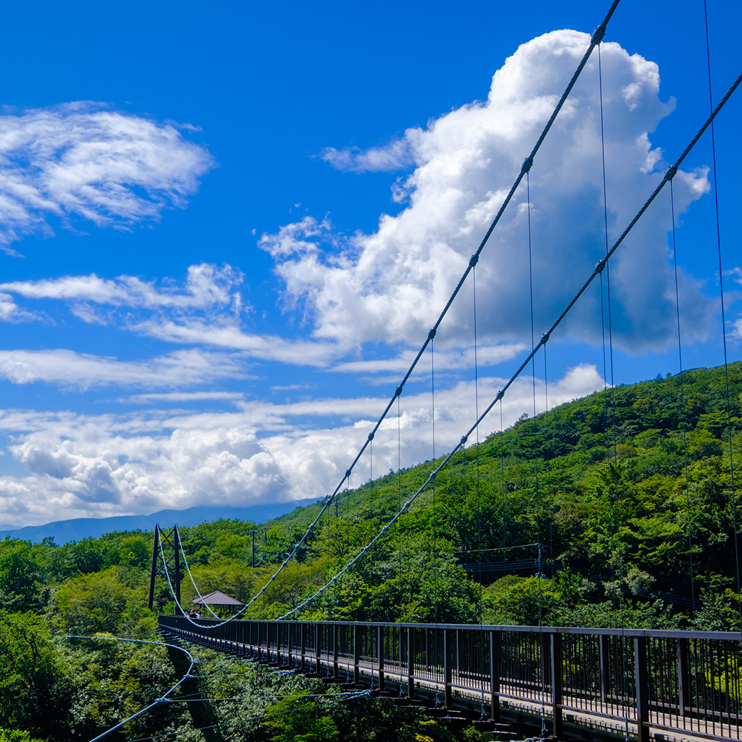 那須つつじ吊り橋