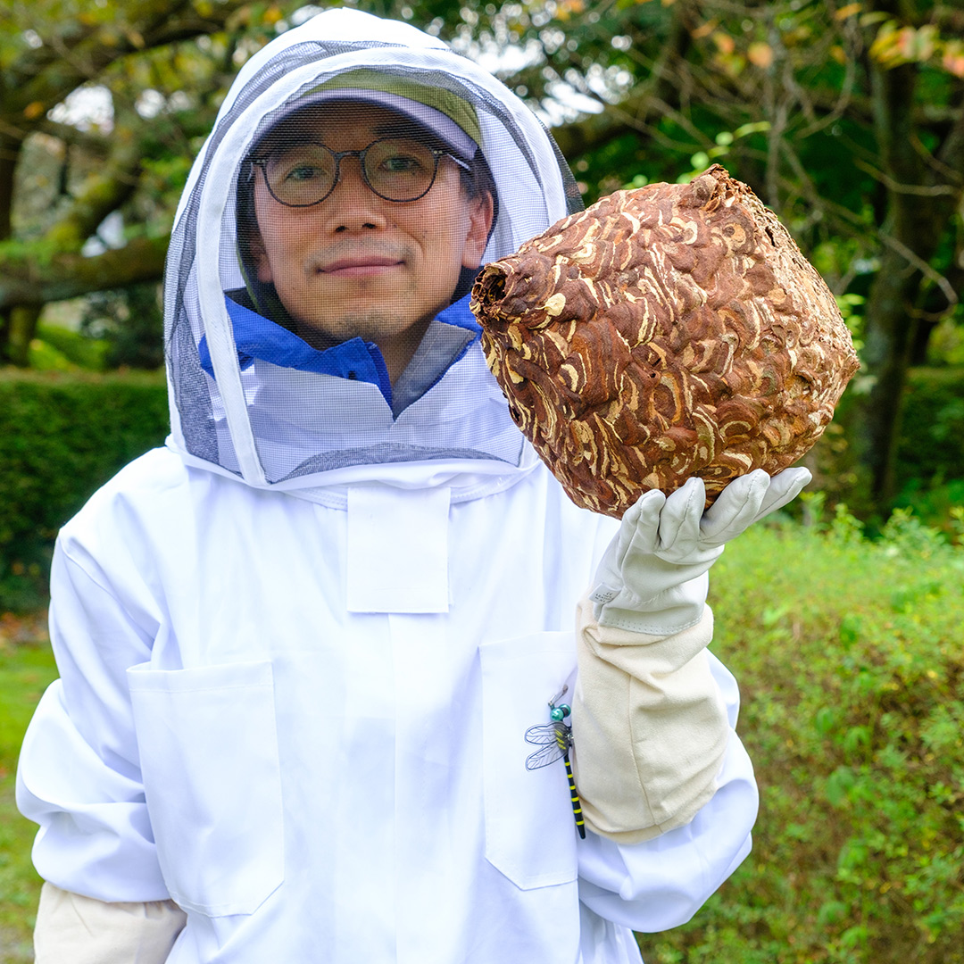 スズメバチの巣を回収