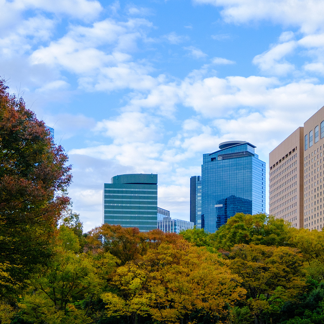 新宿中央公園からの景色