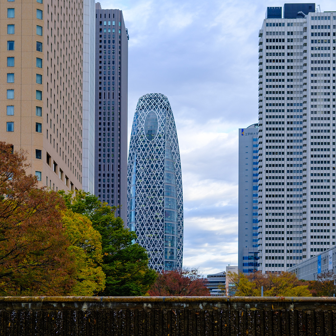 新宿中央公園からの景色