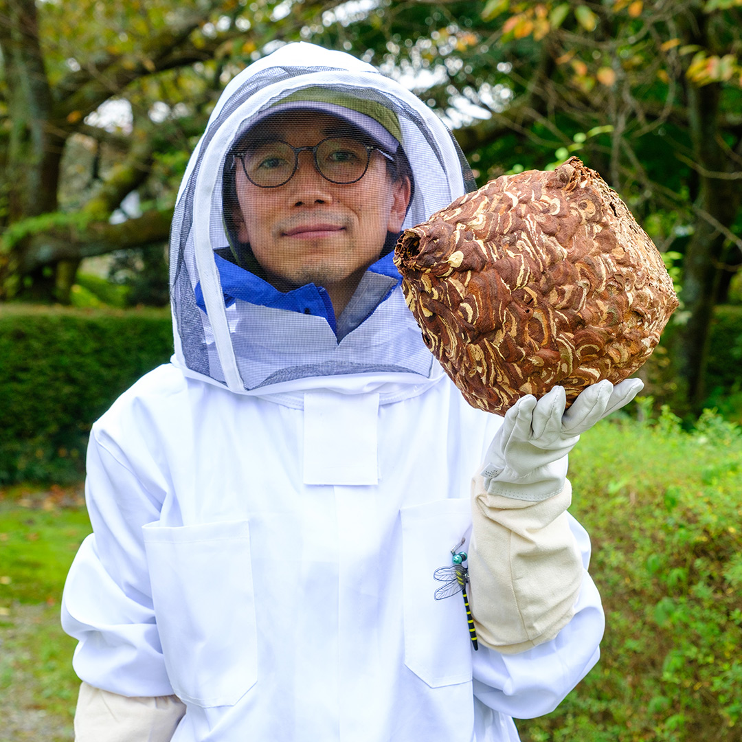 スズメバチ駆除をして半年以上経ったのに・・・